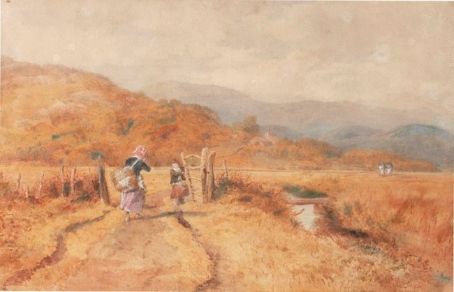 AGNSW collection John Henry Mole The road to the peat bog, near Barmouth, North Wales 1874