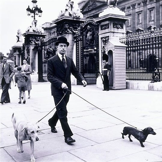 AGNSW collection David Moore Outside Buckingham Palace, London circa 1955