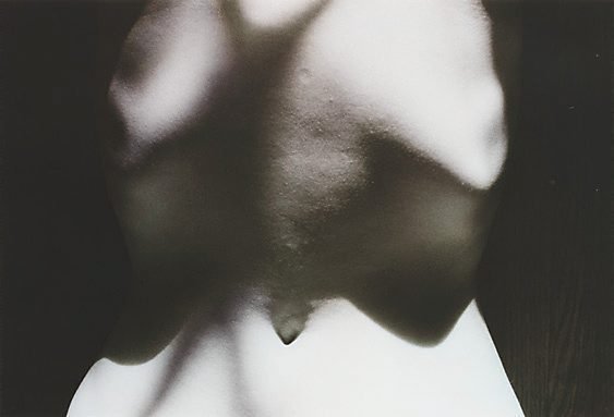 AGNSW collection Douglas Holleley Untitled (torso) 1977