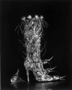 Boot of shrimps, 1995 by Michiko Kon