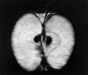 Half an apple, 1953, printed later by Wynn Bullock
