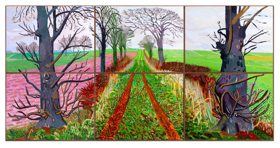 AGNSW collection David Hockney A closer winter tunnel, February-March 2006