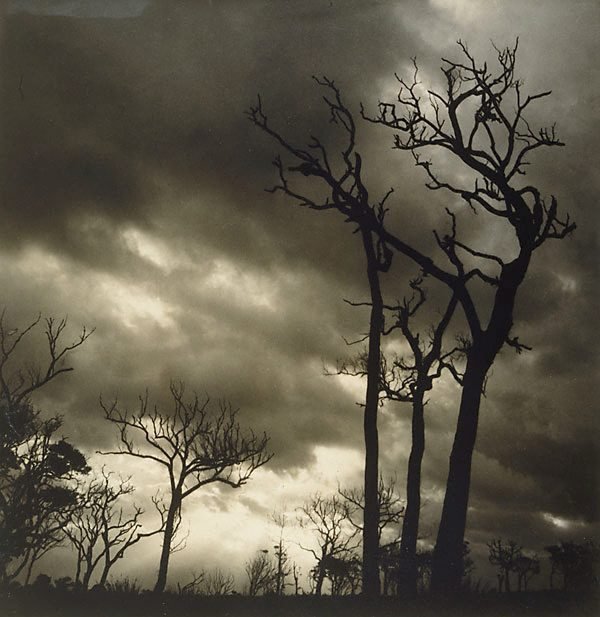 AGNSW collection Olive Cotton Storm 1938