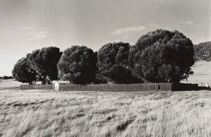 The Healing Garden, Wybalenna, Flinders Island, Tasmania, 2005, printed 2009, Portrait of a distant land by Ricky Maynard