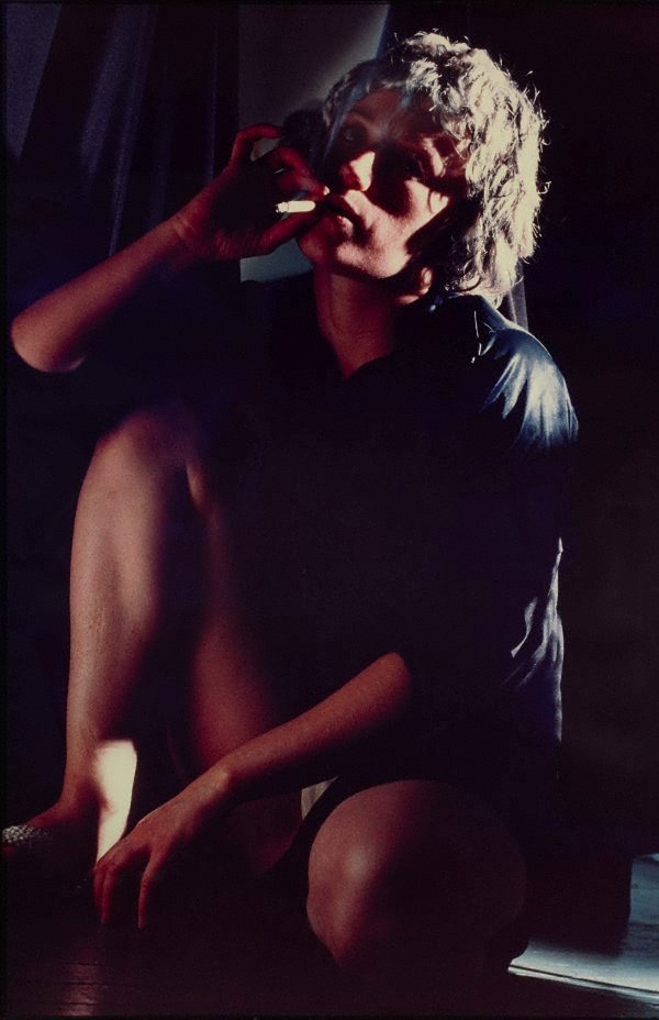 AGNSW collection Cindy Sherman Untitled #113 1982