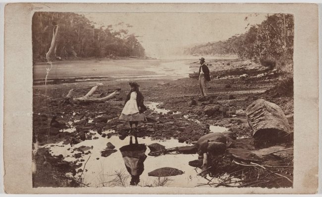 AGNSW collection Unknown photographer Australian scenery, Middle Harbour, Port Jackson circa 1865
