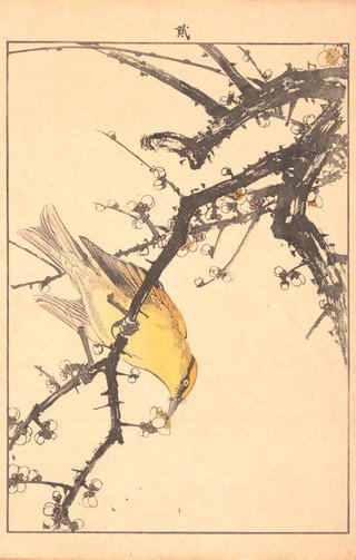 AGNSW collection Imao Keinen White plum blossoms and bird 1891