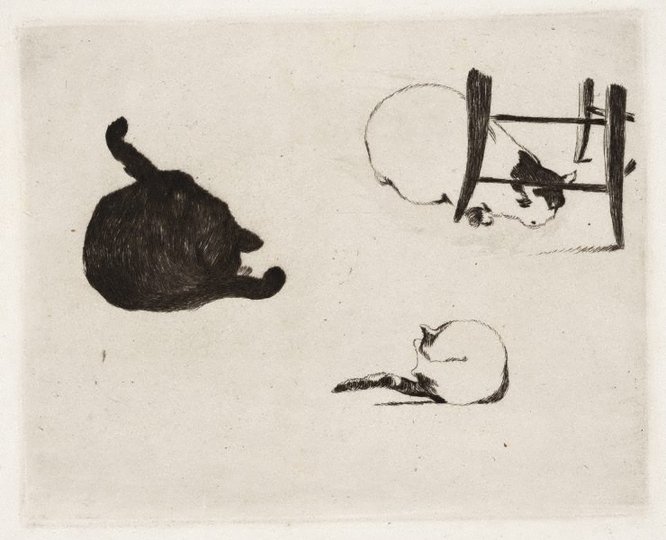 AGNSW collection Edouard Manet The cats 1868-1869