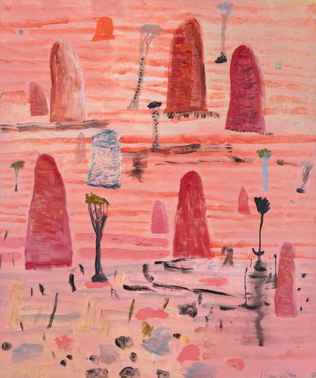 AGNSW prizes Ken Done Outback, from Wynne Prize 2019
