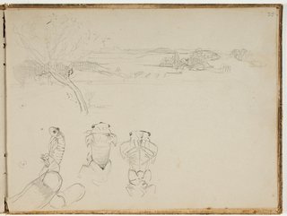 STATE LIBRARY OF NEW SOUTH WALES COLLECTION Arthur Streeton *Studies of cicada in sketchbook* 1888-89 (detail)

This page from Arthur’s sketchbook shows some of the drawings of cicadas he made when he was planning the composition of his painting *Spring*. 
